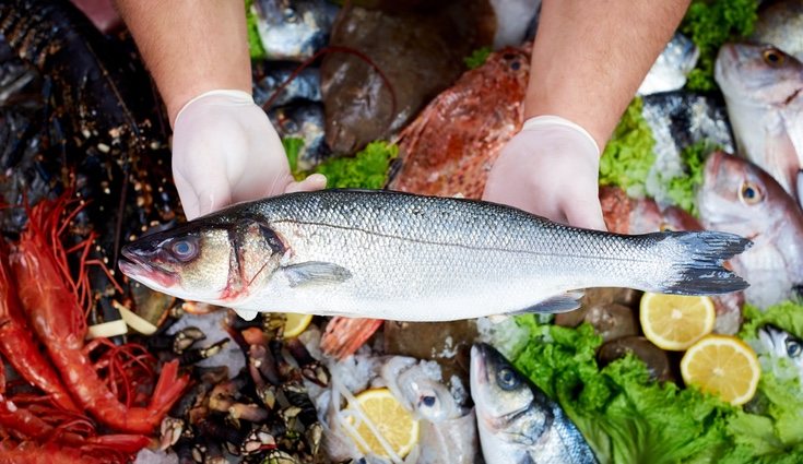 Es un pescado semigraso y altamente nutricional por su alto contenido proteico y mineral