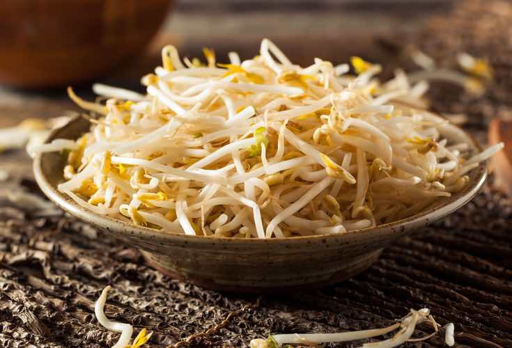 Los brotes de soja tienen mucha proteína