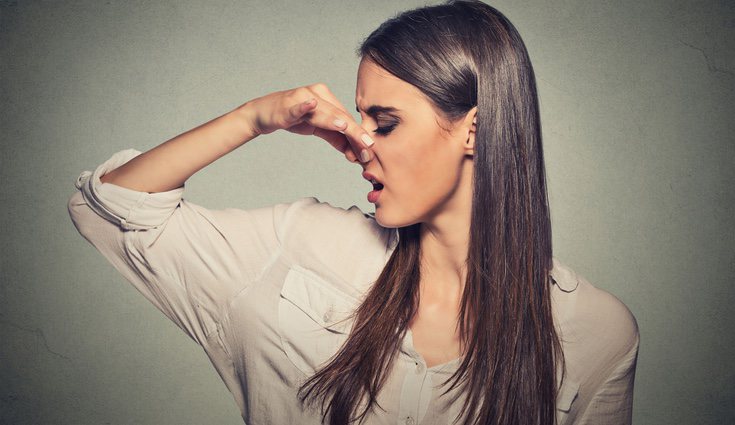 La mala y rápida digestión puede ser una causante del exceso de gases