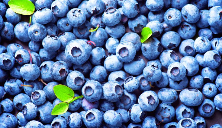 Los arándanos deben consumirse rápido, ya que se estropean en poco tiempo