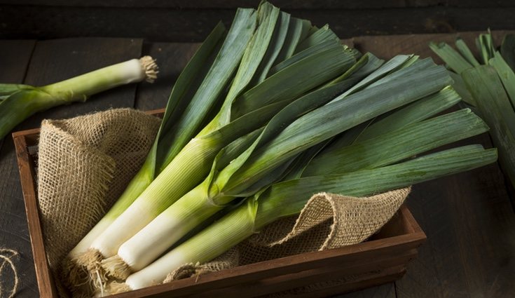 Los puerros son alimentos prebióticos