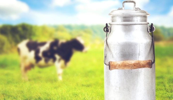 La leche de vaca seguramente sea el alimente de origen animal que más se consume