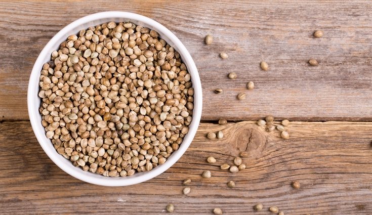 Las semillas son alimentos normalmente muy ricos en Omega 3