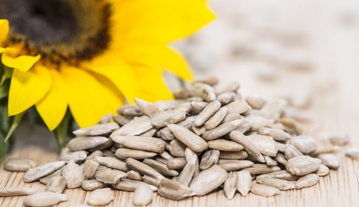 Las pipas de girasol poseen grandes beneficios para nuestra salud