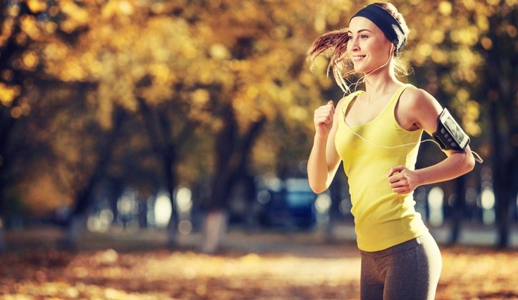 Las pipas de girasol son una fuente de fuerza y energía
