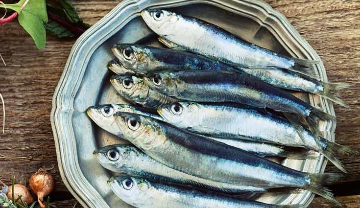 Los pescados azules son los mejores para tu propósito