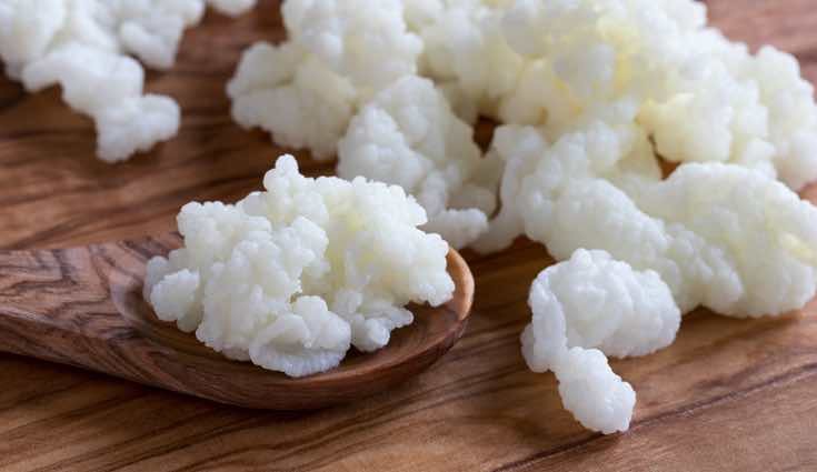 El kéfir aporta grandes beneficios para el organismo