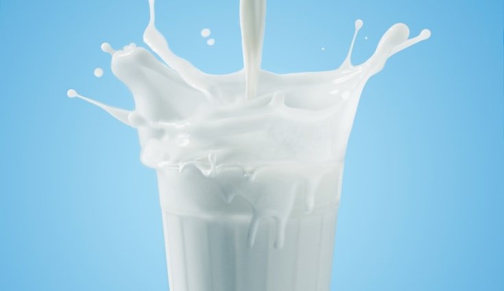 En general las leches de tipo vegetal son las que engorman menos