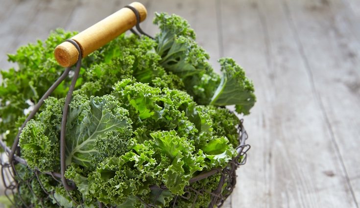 El kale tiene bastante sabor y puede ser un sustitutivo perfecto para las ensaladas