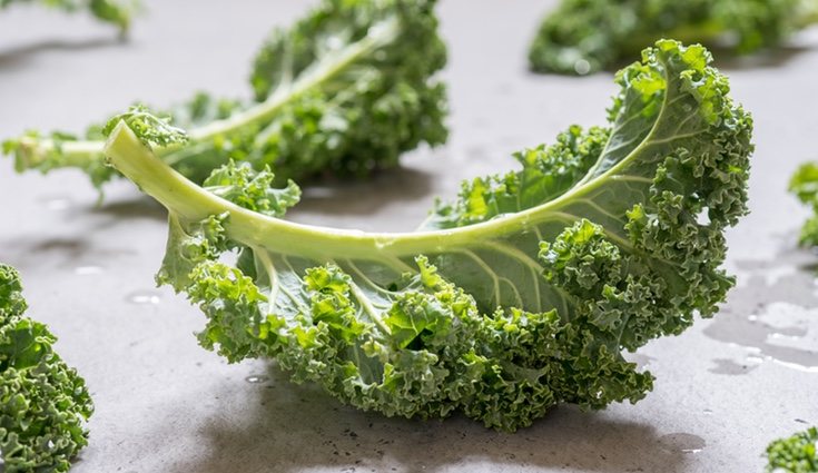 Su alto contenido en vitaminas hace que aporte los nutrientes necesarios a nuestro organismo