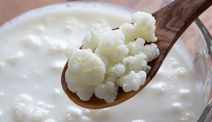Kefir como de vaca tomar