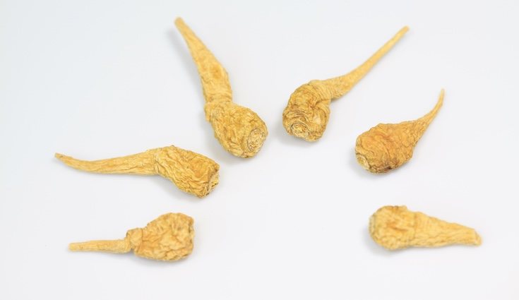 La maca mejora la motilidad de los espermatozoides