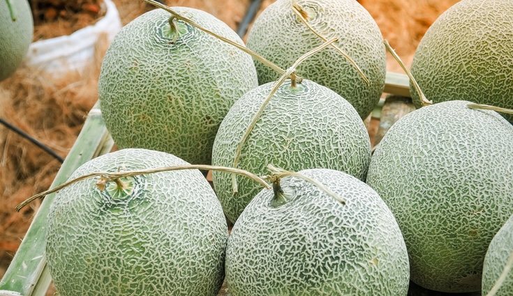 El melón ayuda a regenerar nuestra piel y eliminar manchas
