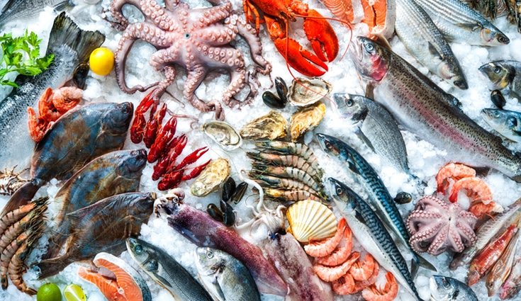 El pescado contiene las vitaminas B3, B9, A, D y K