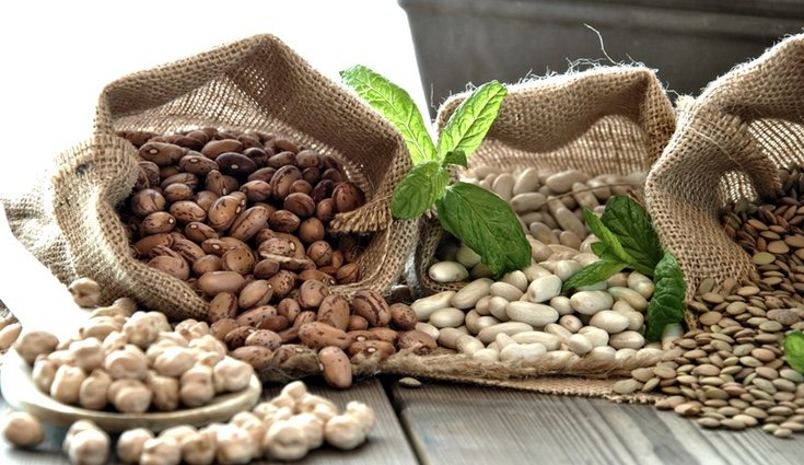 Las legumbres es un alimento ideal para las personas que padecen anemia