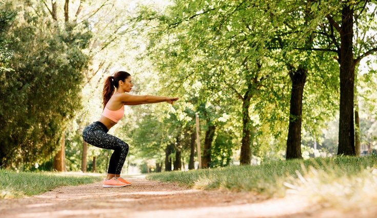 Ejercicios de levantamiento de cuerpo: las flexiones, las algartijas, las sentadillas y los abdominales