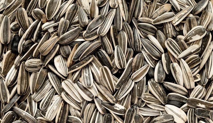 Es aconsejable no comer más de 100 gramos de pipas al día