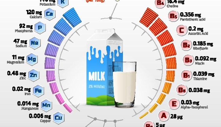 Estos son todas la vitaminas y nutrientes que aporta la leche