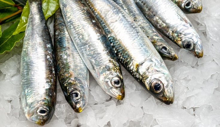 Las sardinas en conserva en aceite de oliva son las mejores respecto al calcio