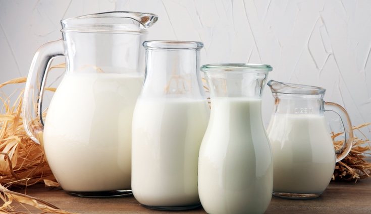 La leche aporta calcio, magnesio y fósforo, siendo ideal para el cuidado de los huesos