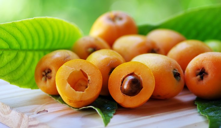 Los nísperos tienen acción astringente, diurética, antiinflamatoria, antidiabética, antidiarréica, digestiva y antioxidante