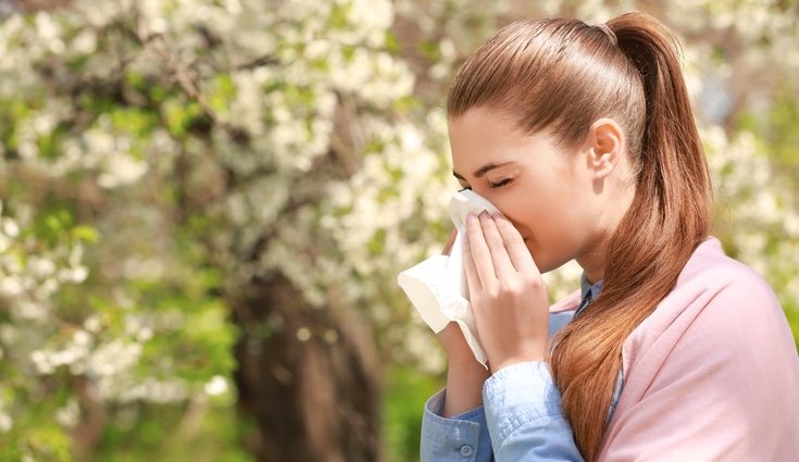 El te verde previene los ataques de alergia