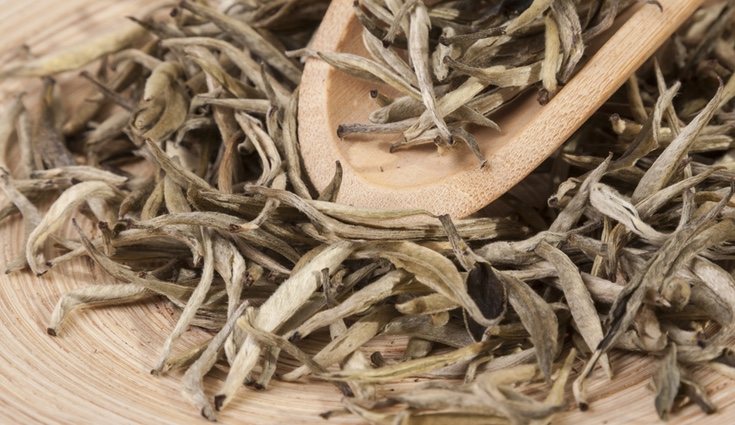  Unicamente se cosechan los brotes más tiernos de la planta