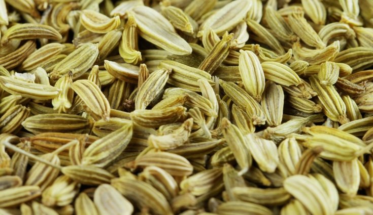 El hinojo puede encontrarse a precios asequibles