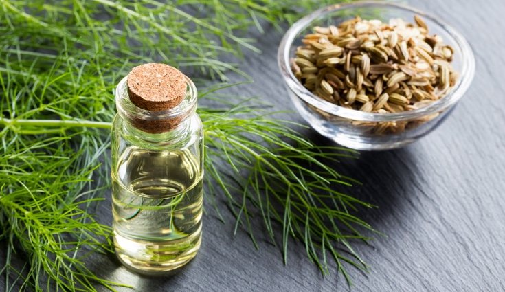 No se aconseja que los niños consuman aceite de hinojo antes de la pubertad