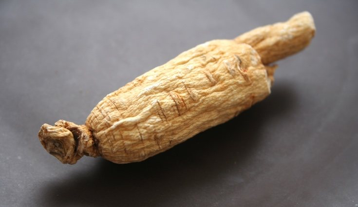 La raíz del euterococo es lo único que se aprovecha de esta planta