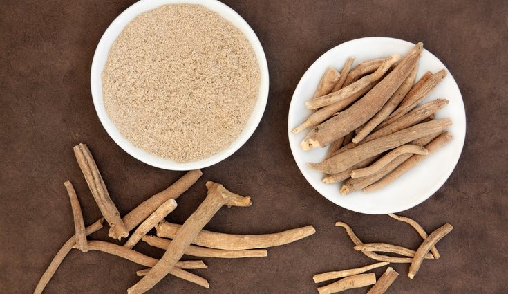 El ginseng siberiano puede encontrarse en polvo, píldora o de forma líquida