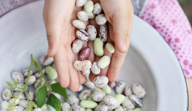 Las legumbres, al ser ricas en hidratos de carbono complejos, tienen un alto poder saciante