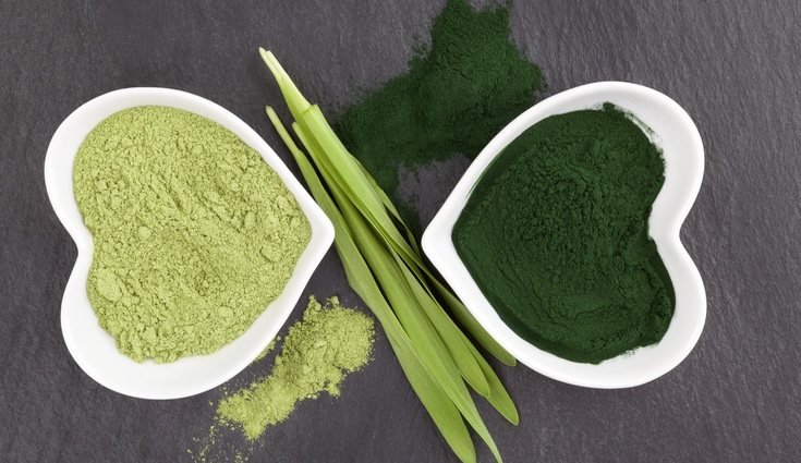 La chlorella destinada al consumo humano solo crece en aguas dulces