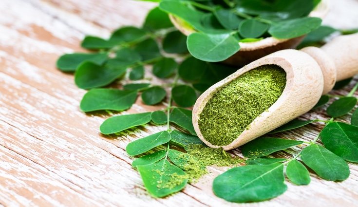 La moringa tiene un alto contenido en vitamina A