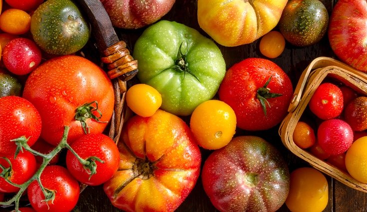 Existen además una gran variedad de tomates para ir cambiando