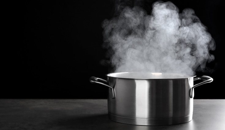 Si cocinas la carne al vapor no aumentas sus grasa y mantiene todas sus propiedades