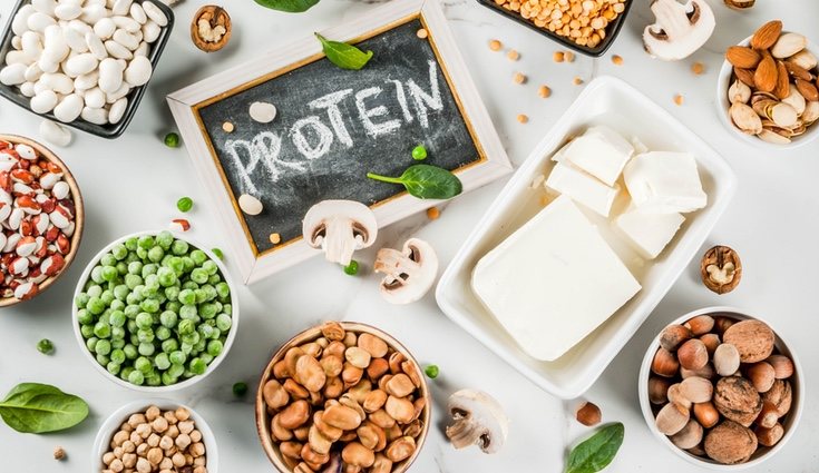 Los alimentos ricos en proteínas deben estar presentes en una dieta sana y equilibrada