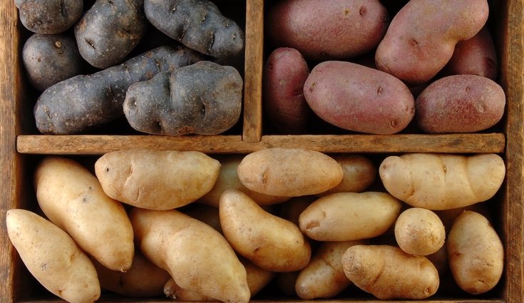 Todos los tipos de patatas tienen las mismas propiedades y beneficios