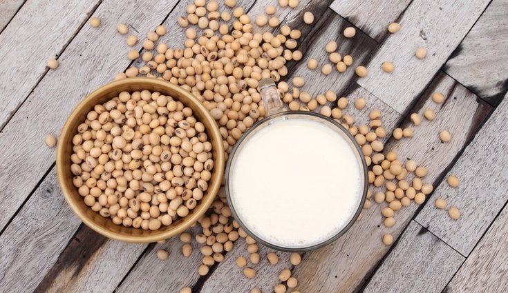 La leche de soja será el sustitutivo perfecto de la leche de vaca