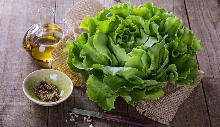 La lechuga previene la aparición de enfermedades