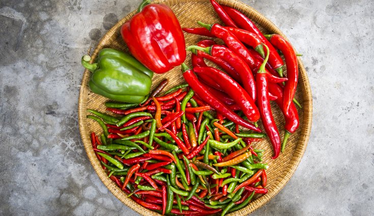 El pimiento picante es normalmente verde y en España se encuentra el de Padrón