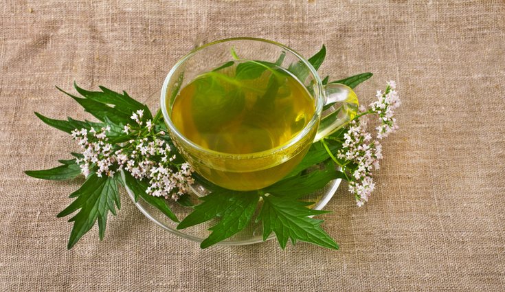 La valeriana es muy buena para dormir