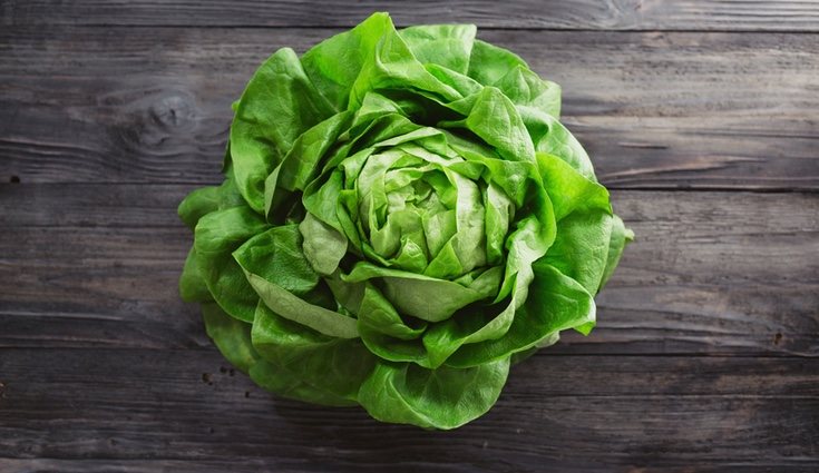 La hoja de la lechuga contiene un principio activo con propiedades sedantes sobre el sistema nervioso