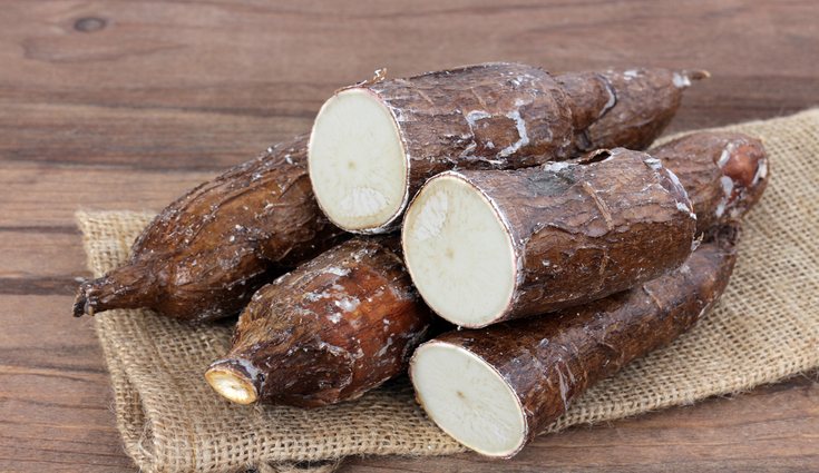 La yuca tiene un gran efecto saciante y muchas proteínas