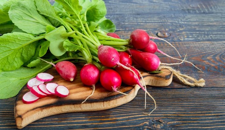 Los rábanos poseen un sabor picante porque tienen un alto contenido en glucosinolatos