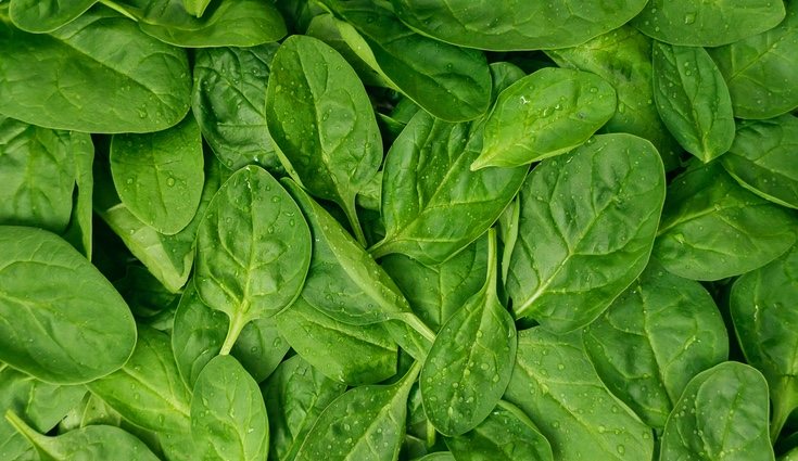 Hay distintos tipos de espinacas