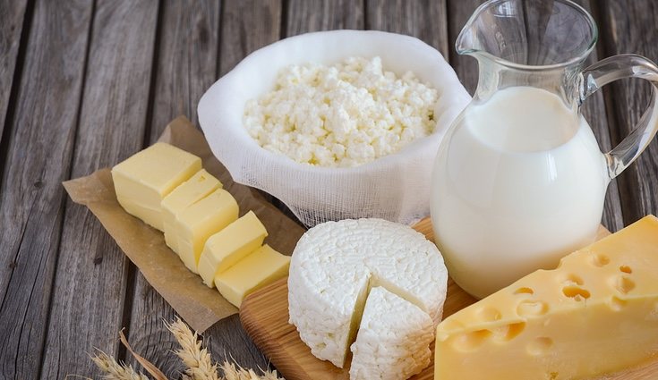 Tanto los alimentos con grasa como los lácteos, totalmente prohibidos