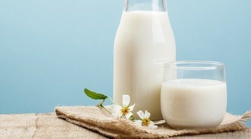 Alternativas a la leche de vaca