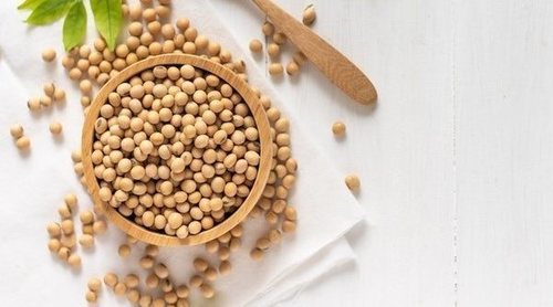 Soja: propiedades y beneficios