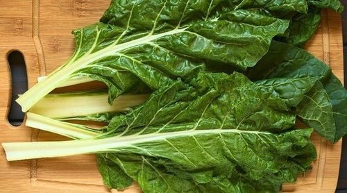 5 recetas deliciosas para comer acelgas